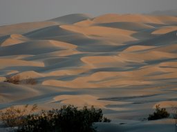 USA_Mexico2006-2007-019